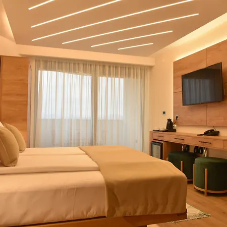 Zeleni Grad 호텔 소코 반자